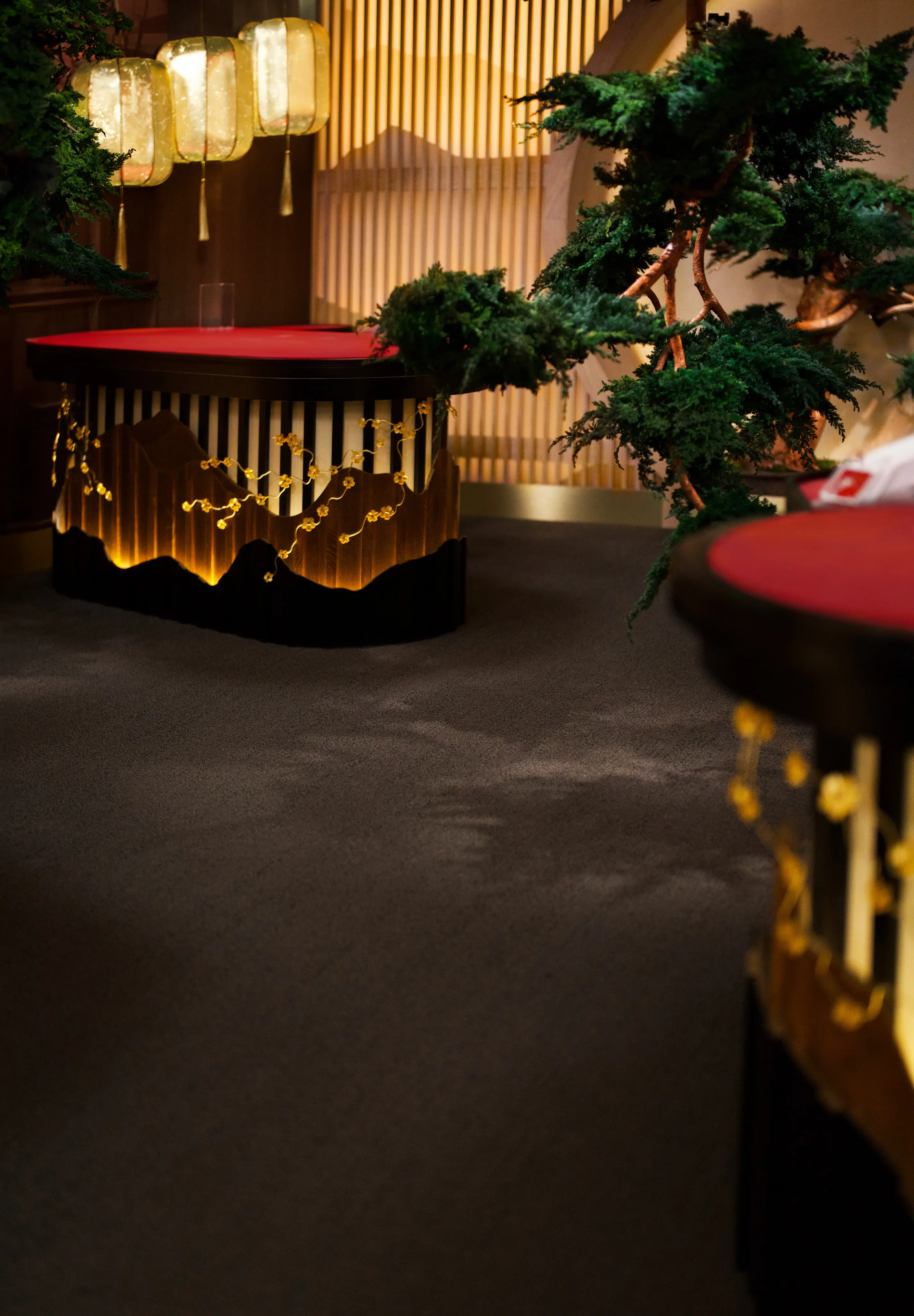 Winfinity Live Casino Games